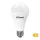 Bec led Commel A80 20W E27 4000K