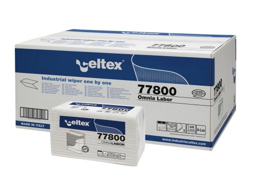 Celtex Absolute folded hand towel recy, 2 layers, 21.5x21cm, 20x250 sheets/carton