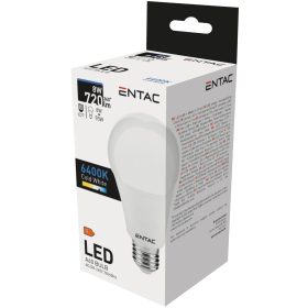 Entac LED Globe E27 15W CW 6400K