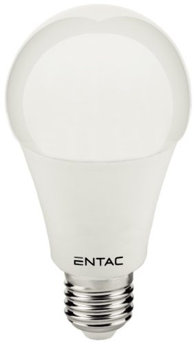Entac LED Globe E27 15W CW 6400K