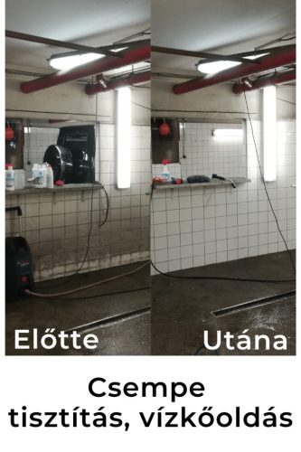 Brilliance Eco Decaler and Cleaner Super Concentrate 20 litrov