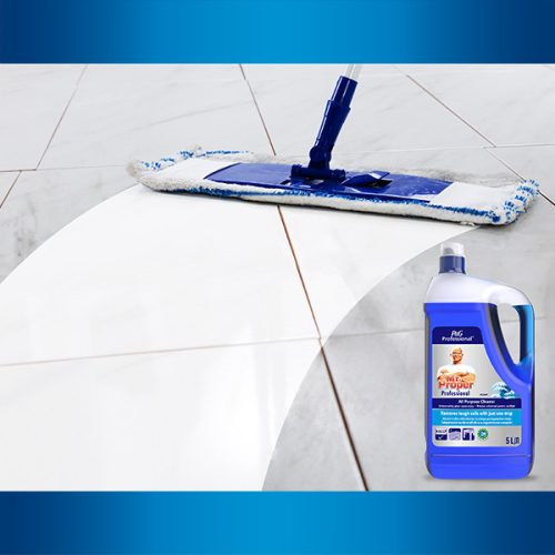 Dl. Proper Professional Mop pentru podea oceanică 5 L (3 buc/cutie)