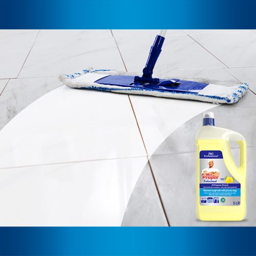 Mr. Proper Professional Lemon 5 L (3pcs/box)