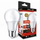Zelux Led Globe A60 9W E27 3000K Globe žarulja