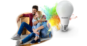 Zelux és Commel villamossági és világítástechnikai termékek